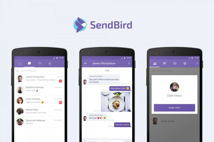 Sendbird 100M Steadfast: Revolutionizing Chat and Video APIs