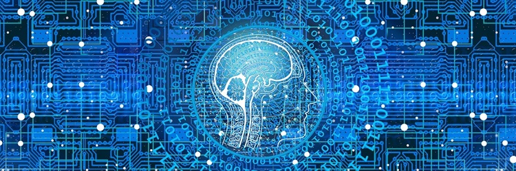 Artificial General Intelligence